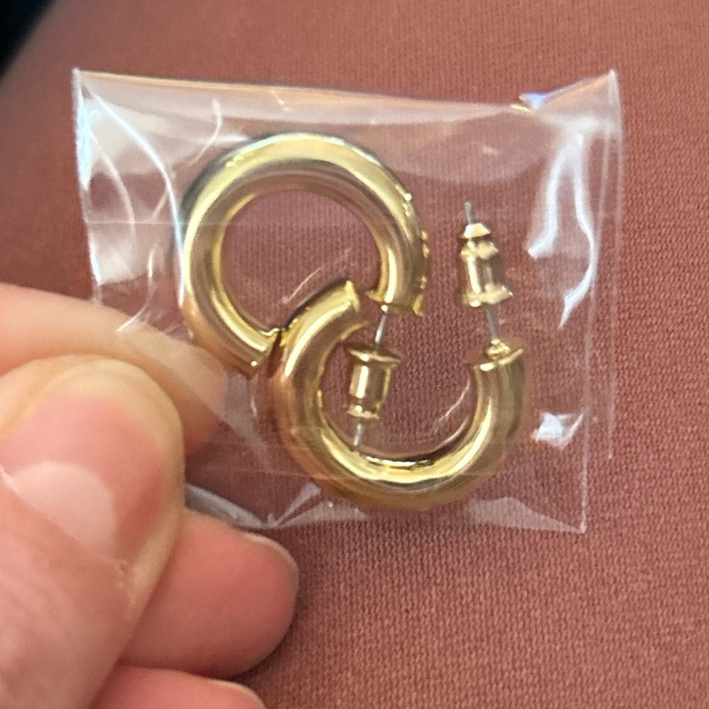 NWT Pavoi 14K Gold Hoop Earrings